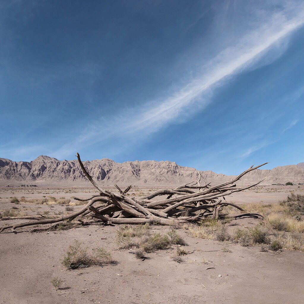 Erde By Milad Safabakhsh