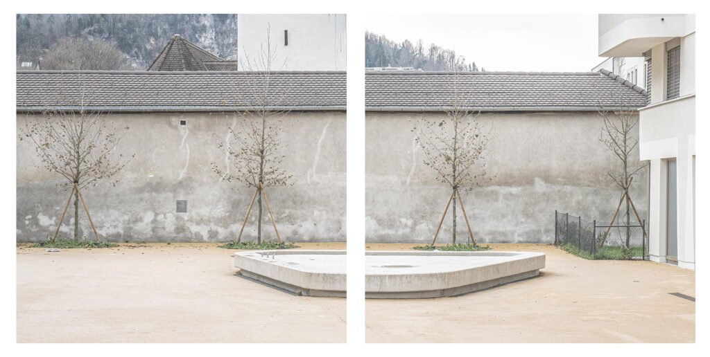 Harmony in Diptychs, Photo by Milad Safabakhsh