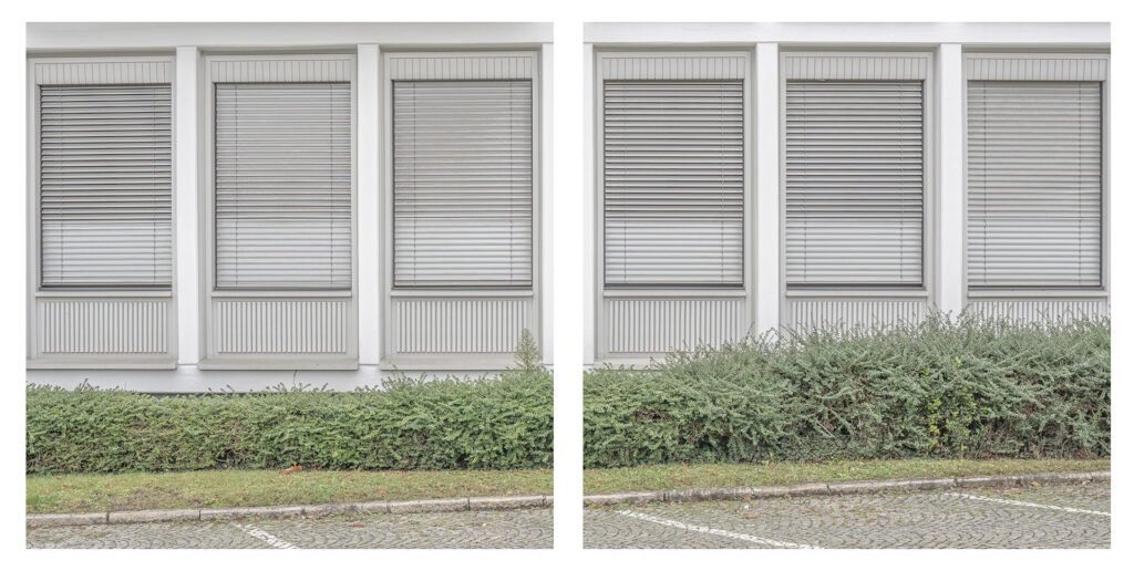 Harmony in Diptychs, Photo by Milad Safabakhsh