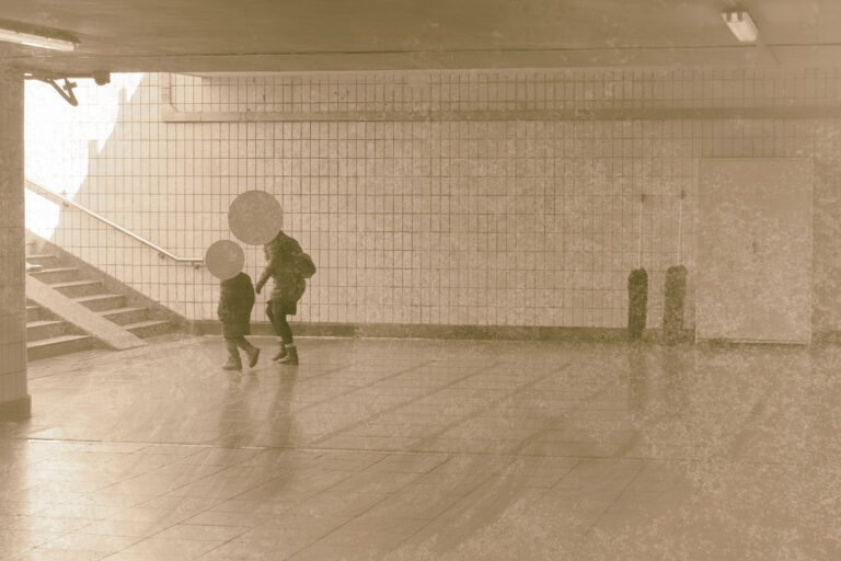 Photography By Milad Safabakhsh