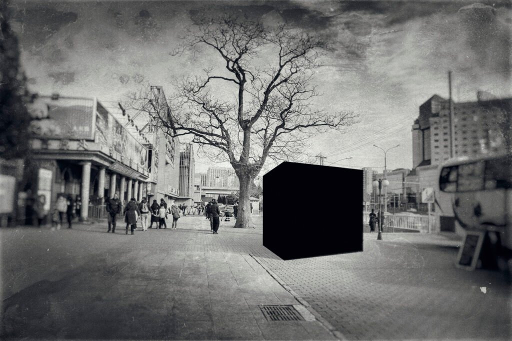 Milad Safabakhsh Photography