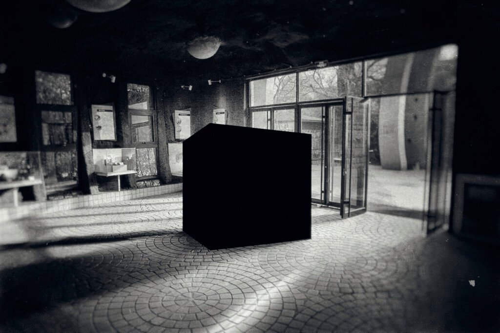 Milad Safabakhsh Photography