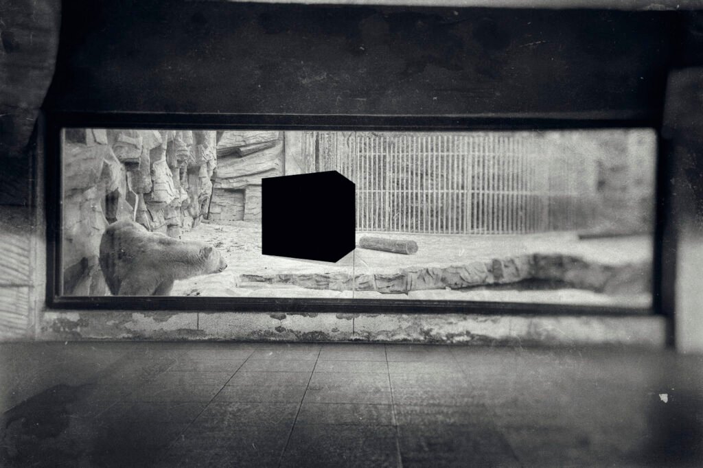 Milad Safabakhsh Photography