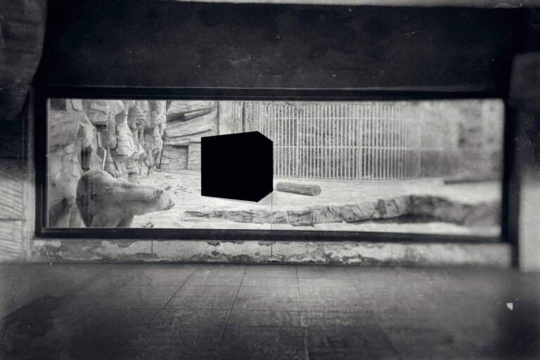 Milad Safabakhsh Photography