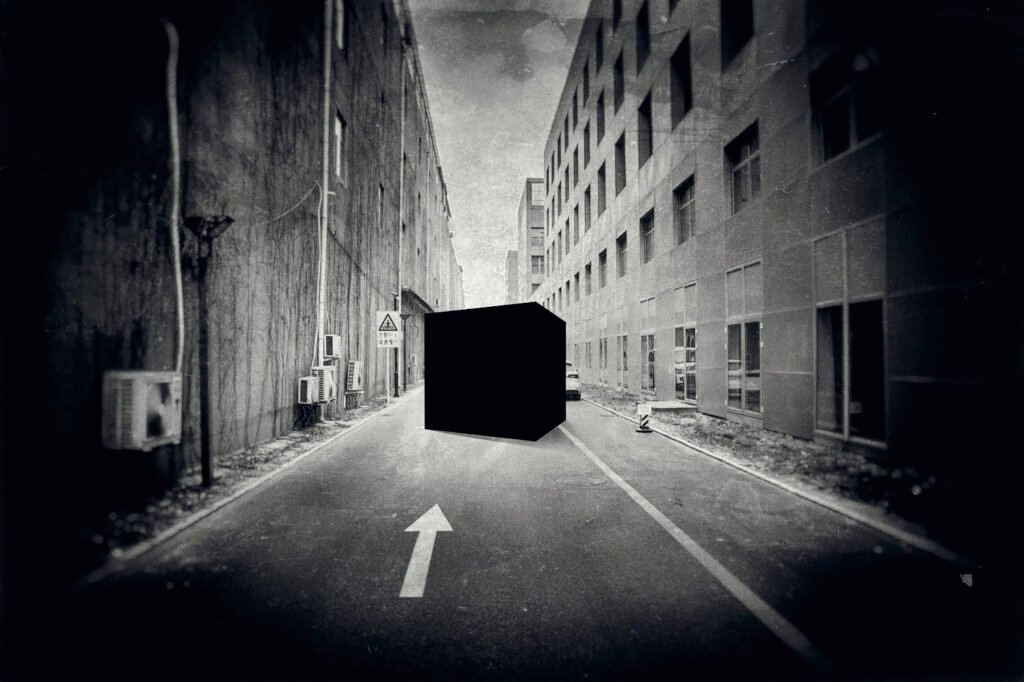 Milad Safabakhsh Photography