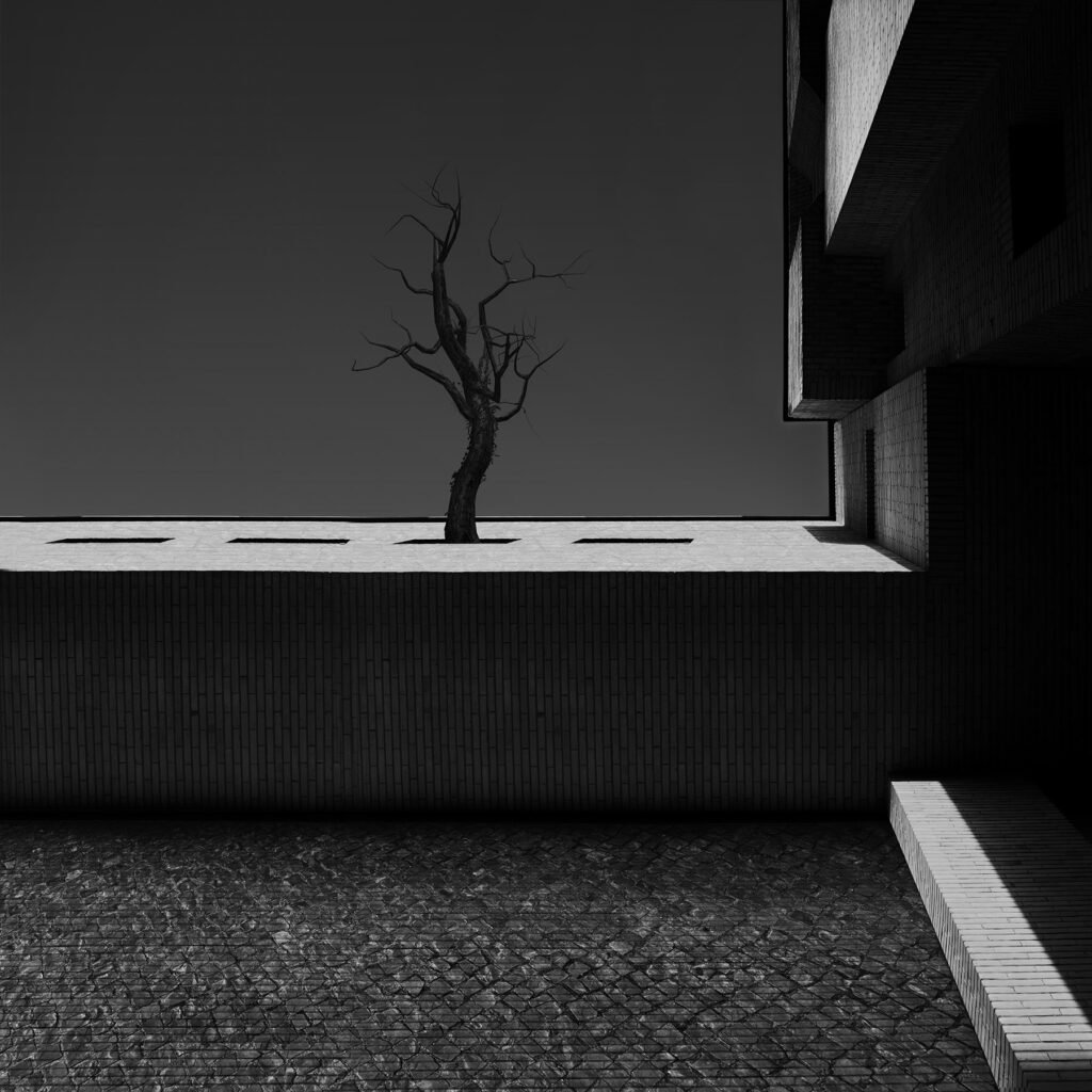 The Space in between by Milad Safabakhsh