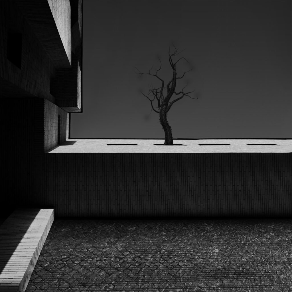 The Space in between by Milad Safabakhsh