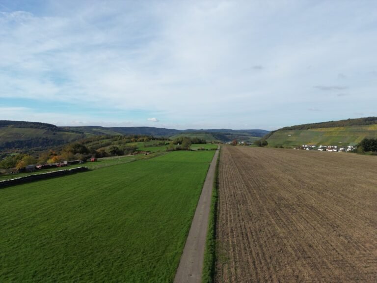 Aerial Imagery Pioneer Showcases Best Drone Work From 2025