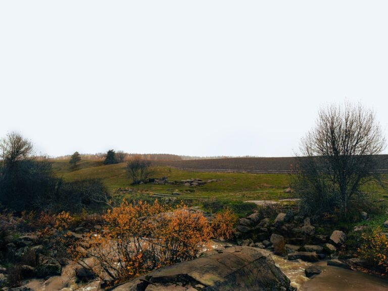 Ansel Adams’ Overlooked LA Archive Debuts in Santa Barbara