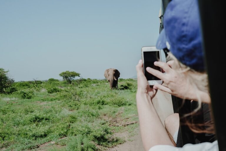 Emmy Winner Deploys Fujifilm GFX100 II for Elephant Documentary Work