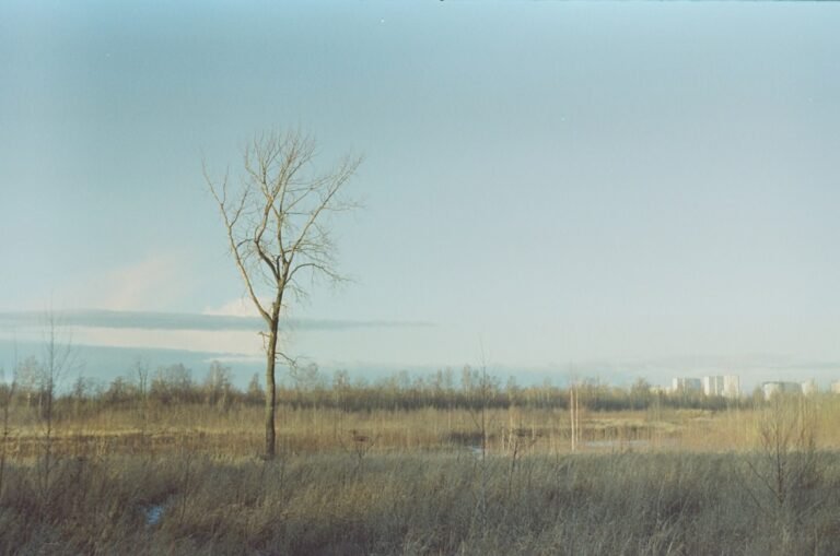 Why Your Crisp Landscapes Lack Visual Impact