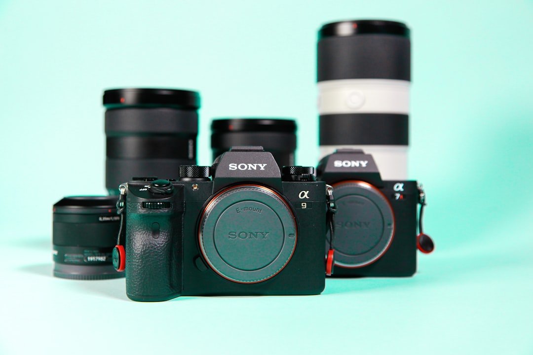Sony Camera Buying Guide: Navigating Quality vs Value