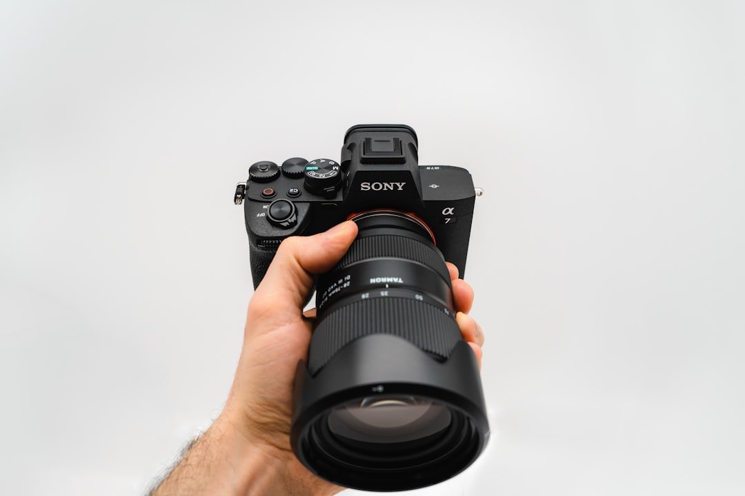 Sony FE 20-70mm f/4 G: An Underrated Workhorse Worth Your Attention