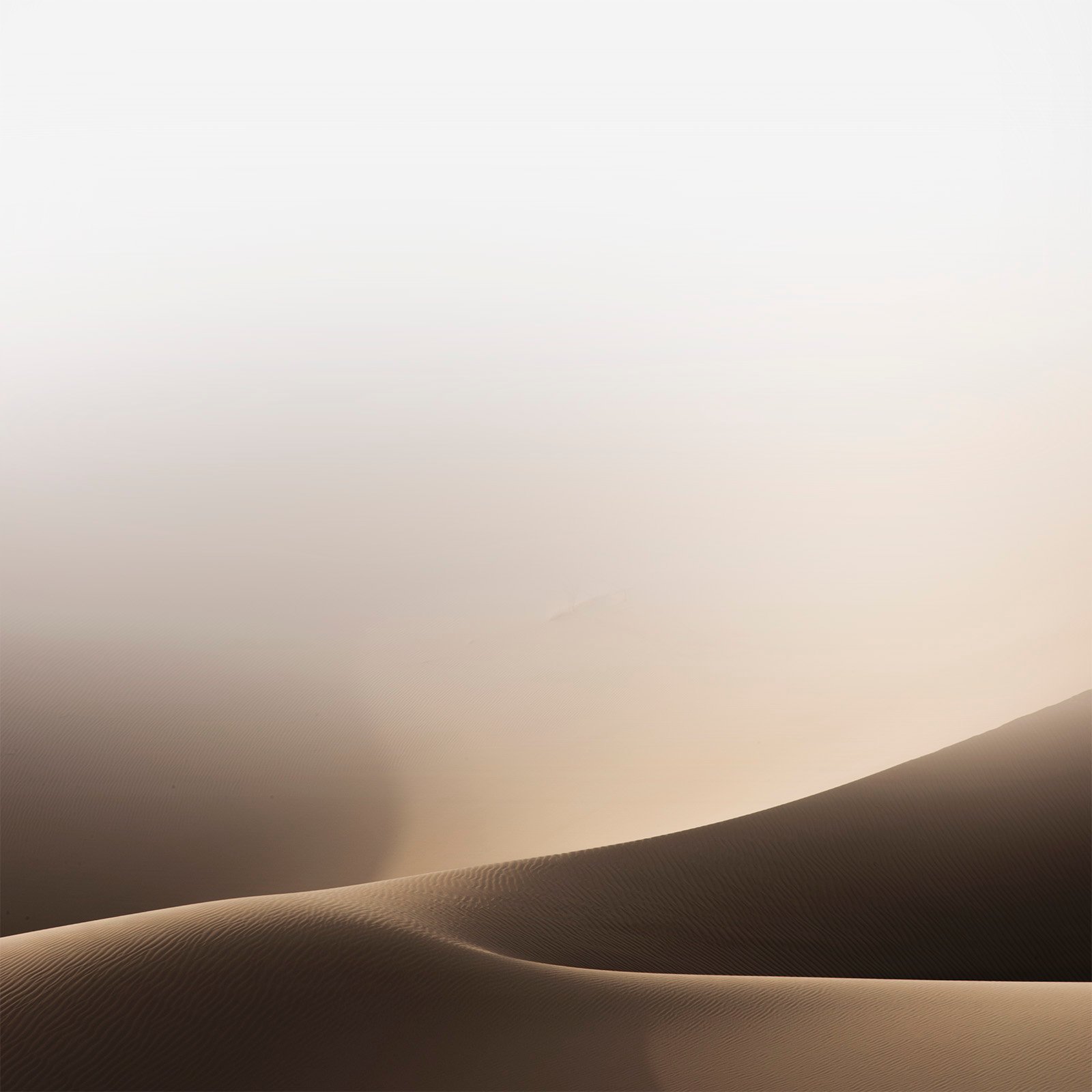 Minimalist photograph of desert sand dunes with soft light, abstract curves, and subtle textures creating a quiet atmospheric composition.