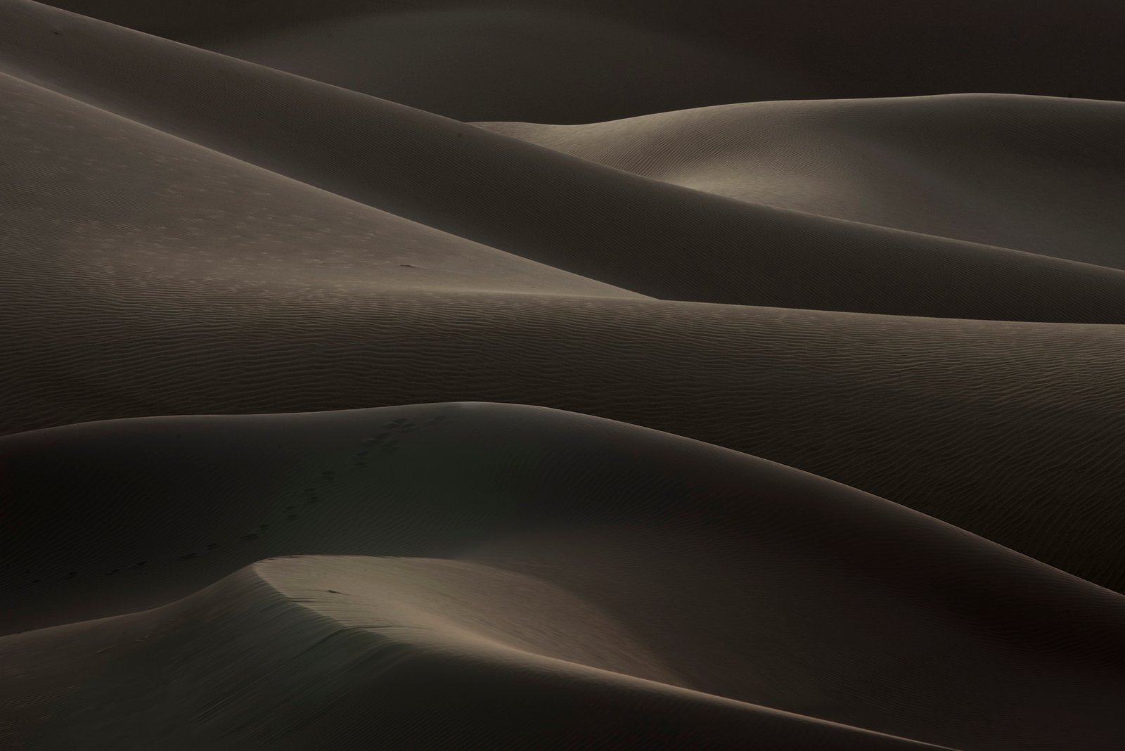Minimalist photograph of desert sand dunes with soft light, abstract curves, and subtle textures creating a quiet atmospheric composition.