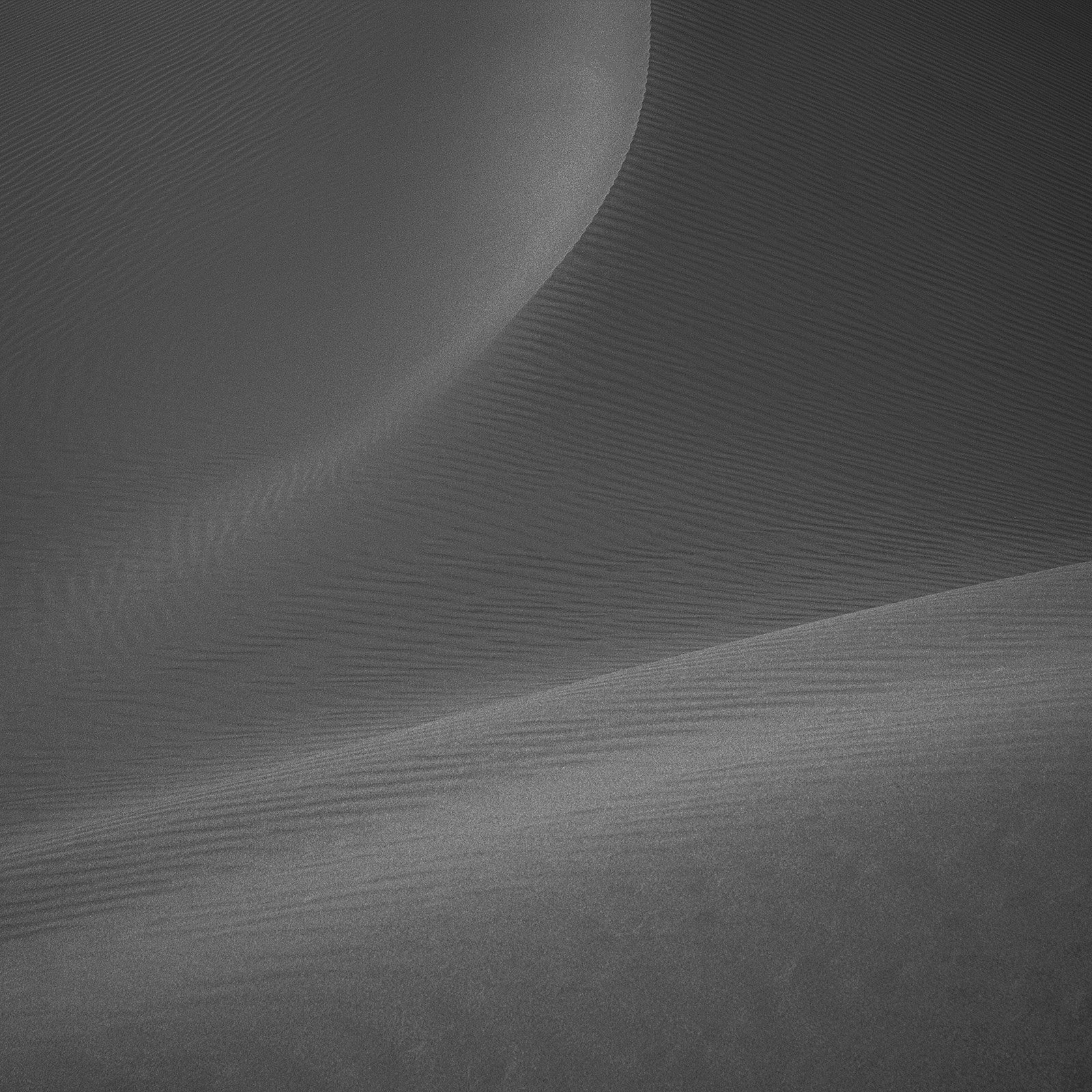 Minimalist photograph of desert sand dunes with soft light, abstract curves, and subtle textures creating a quiet atmospheric composition.