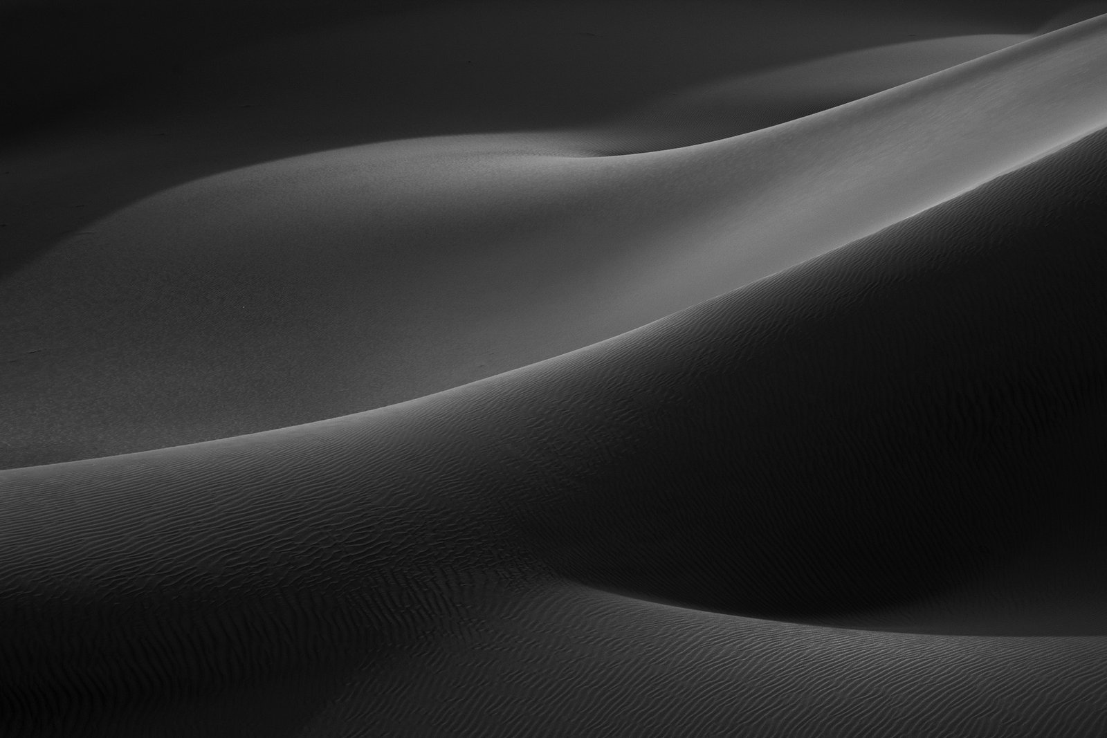 Minimalist photograph of desert sand dunes with soft light, abstract curves, and subtle textures creating a quiet atmospheric composition.
