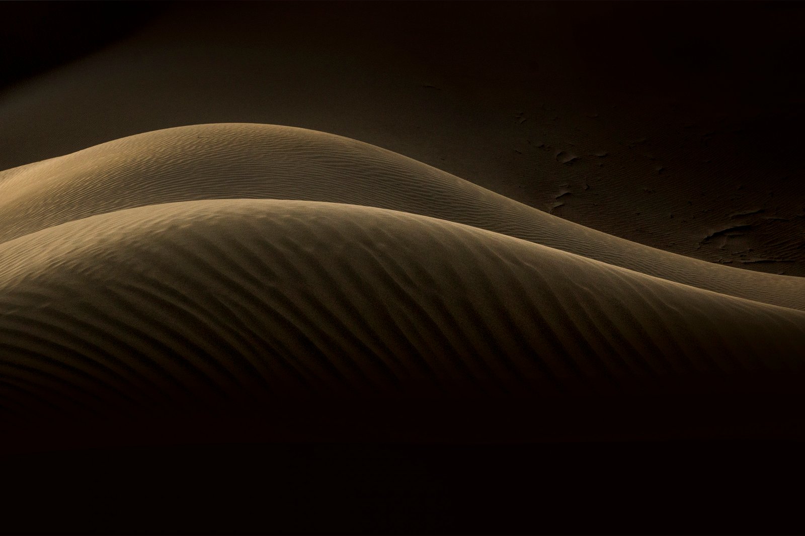 Anatomy of the Desert