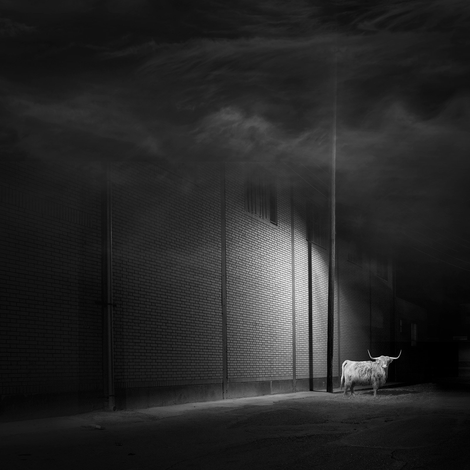 Conceptual photography from the 'Dark Side of the Mind' series, representing the 'dark energy' of the psyche through isolated subjects and infinite black voids.