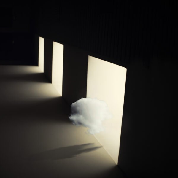 Comatose No. 12