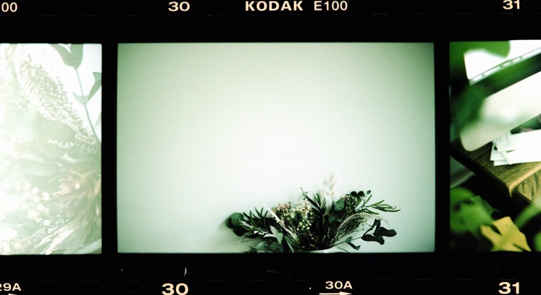 Achieving Authentic Film Aesthetics in Digital Workflows