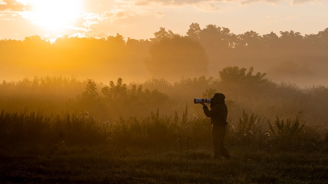 Beyond the Camera: Mastering Visual Literacy in Modern Photography