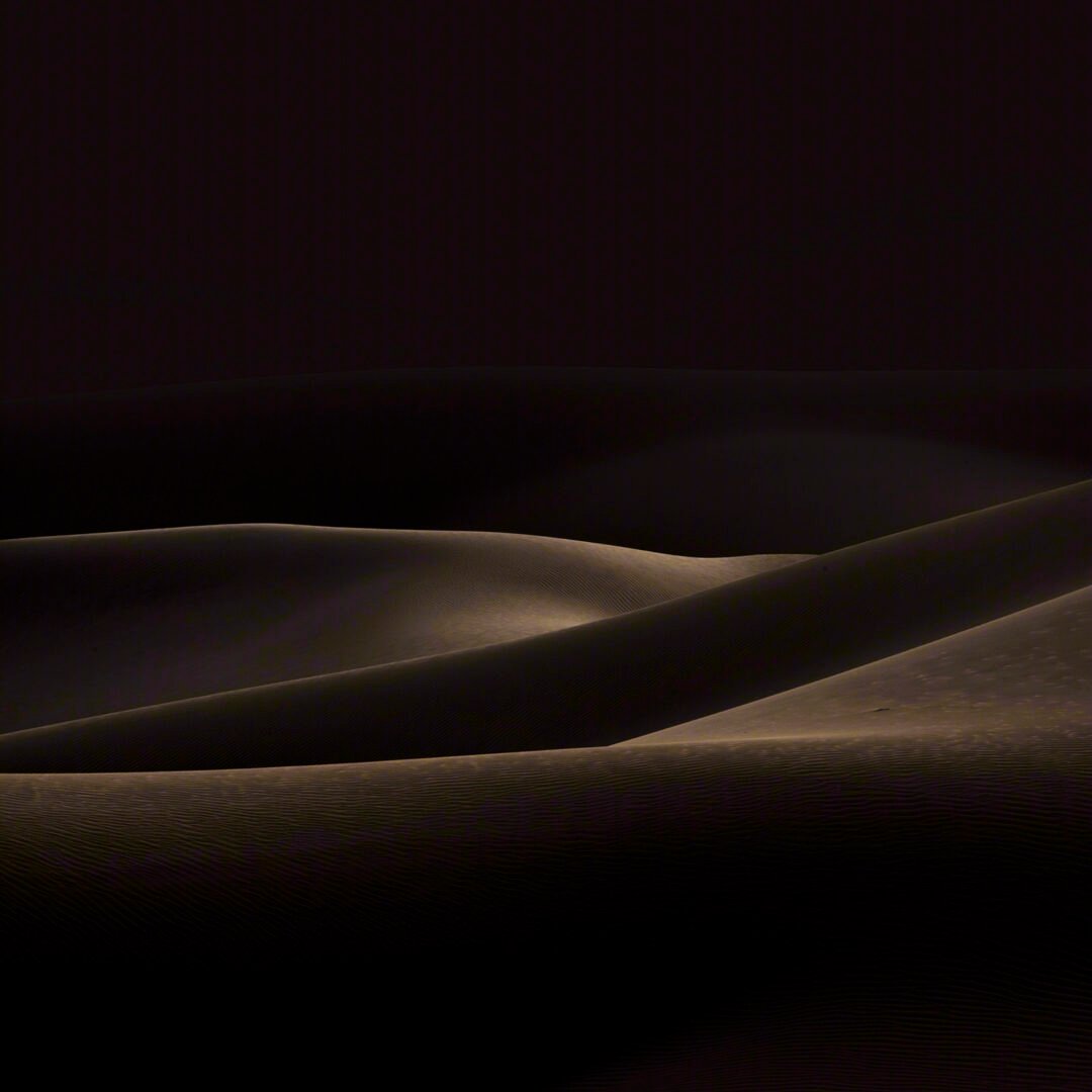 Anatomy of the Desert No. 1