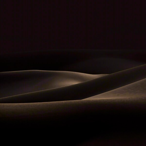 Anatomy of the Desert No. 1