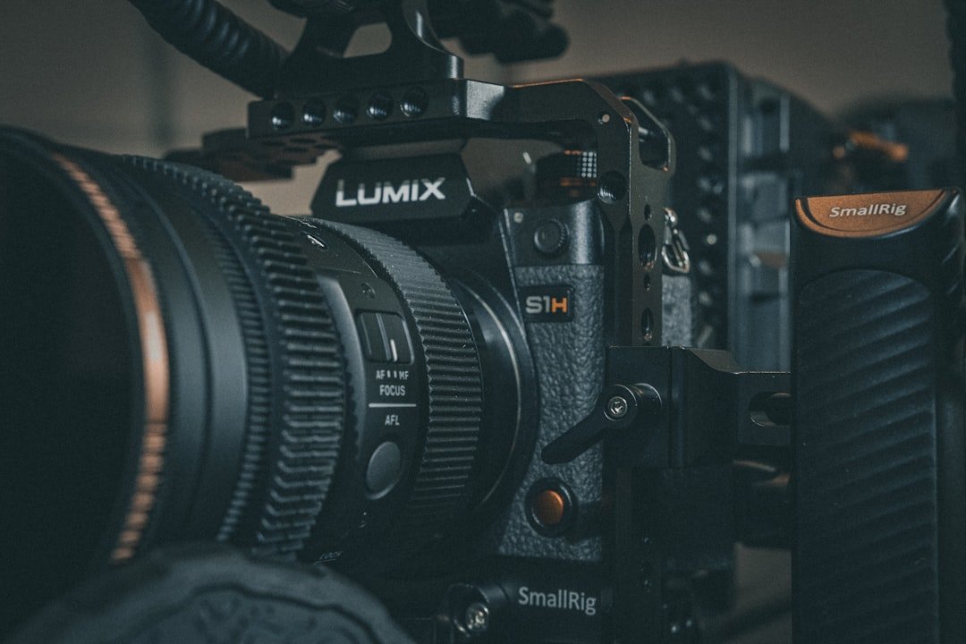 Panasonic Lumix S1 II: Mastering Dynamic Range Trade-offs