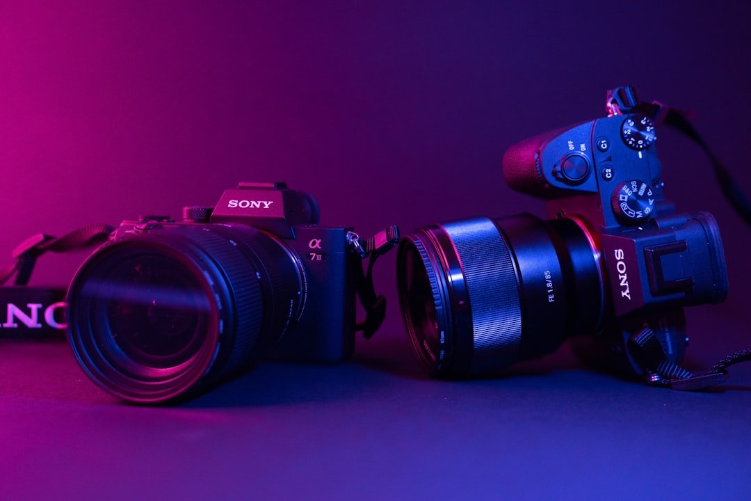 Sony a7R VI Tested Across Multiple Genres: Initial Impressions