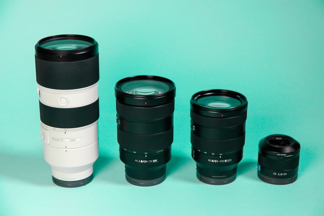 Standard vs. Telephoto Zooms: Your Essential Lens Decision