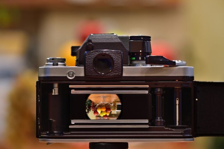 Film Photography Economics: Understanding 2026 Costs