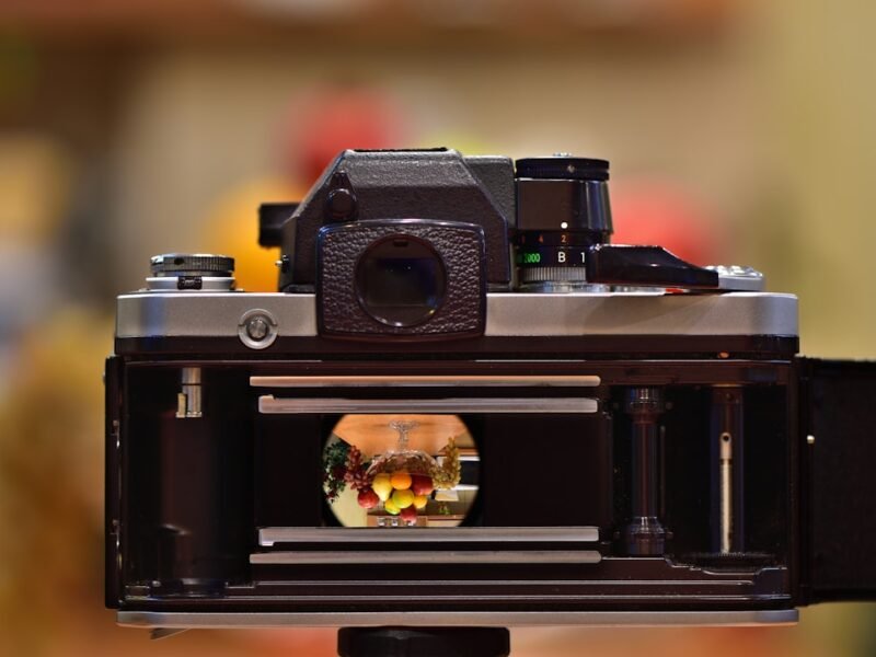 Film Photography Economics: Understanding 2026 Costs
