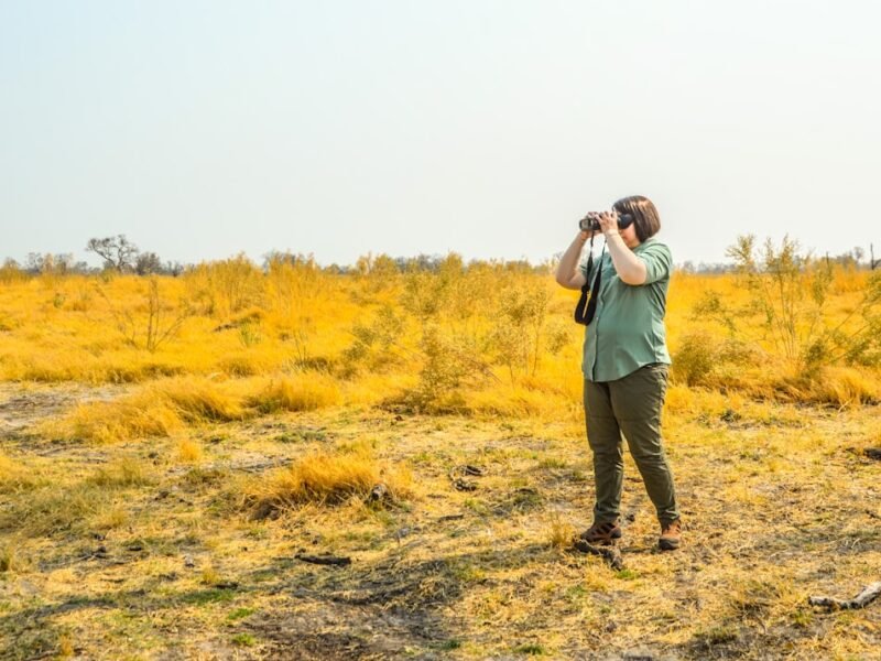 Beyond the Manual: Mastering Real-World Wildlife Photography Challenges