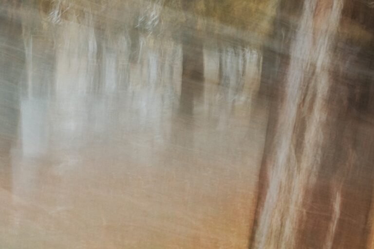Creating Dreamlike Forest Imagery: In-Camera vs Post-Processing