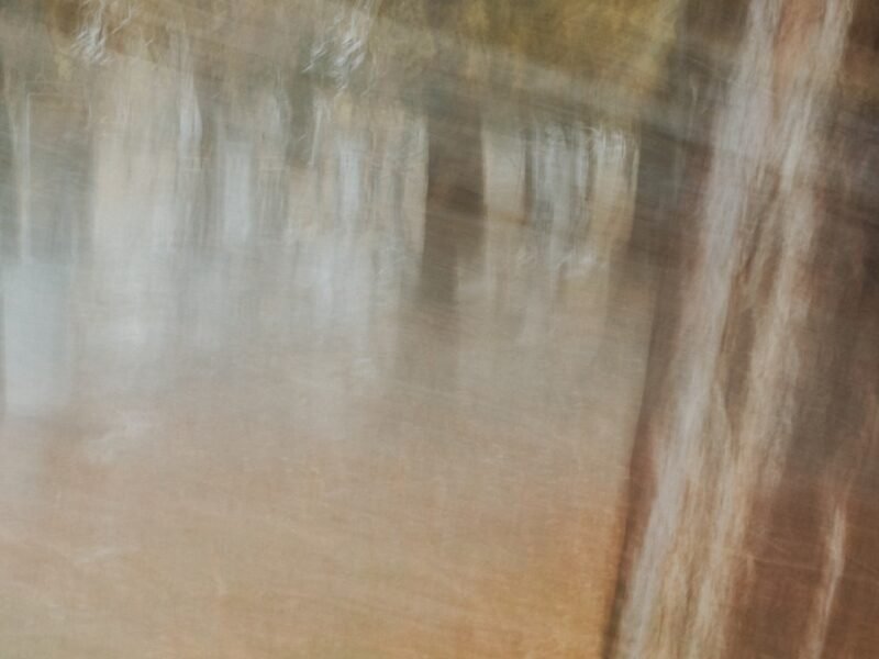 Creating Dreamlike Forest Imagery: In-Camera vs Post-Processing