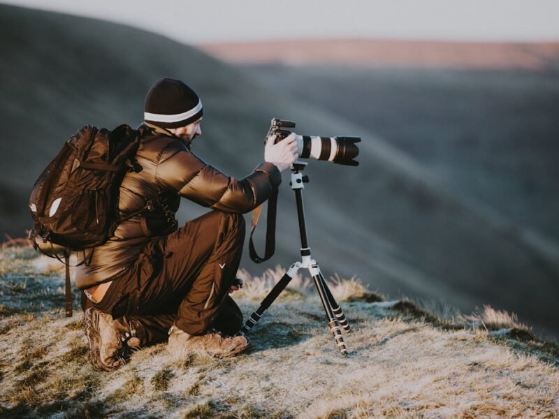 Specialization vs. Versatility: Does Genre Mastery Hinder Artistic Evolution?