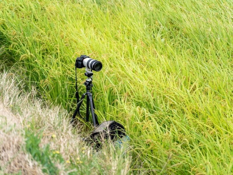 Top Camera Choices for Landscape Photography: 2026 Guide