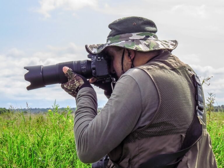Why Professional Wildlife Photographers Embrace Zoom Flexibility