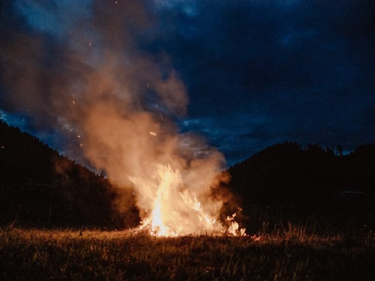 Stuart Palley’s Terra Flamma: Reimagining Wildfire Photography