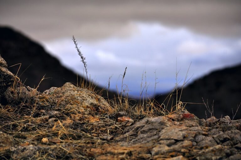 Master Hyperfocal Distance for Stunning Landscape Sharpness