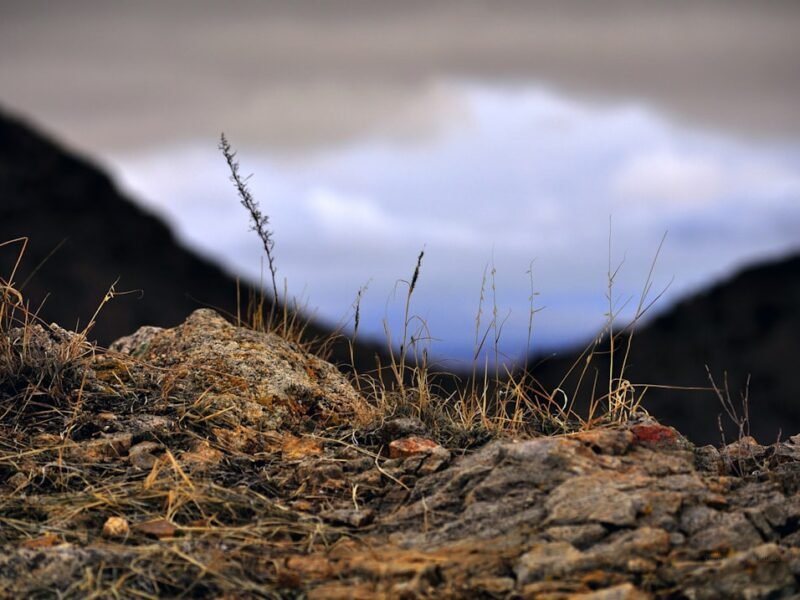 Master Hyperfocal Distance for Stunning Landscape Sharpness