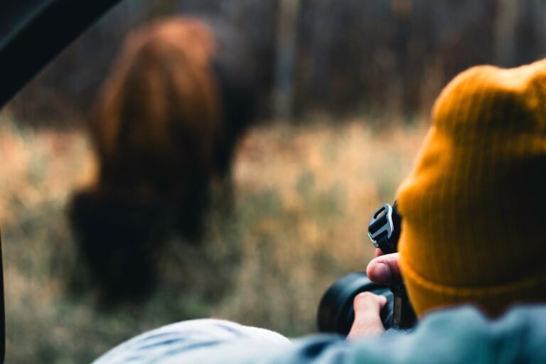 Master Wildlife Photography: 8 Essential Techniques Without Gear Investment