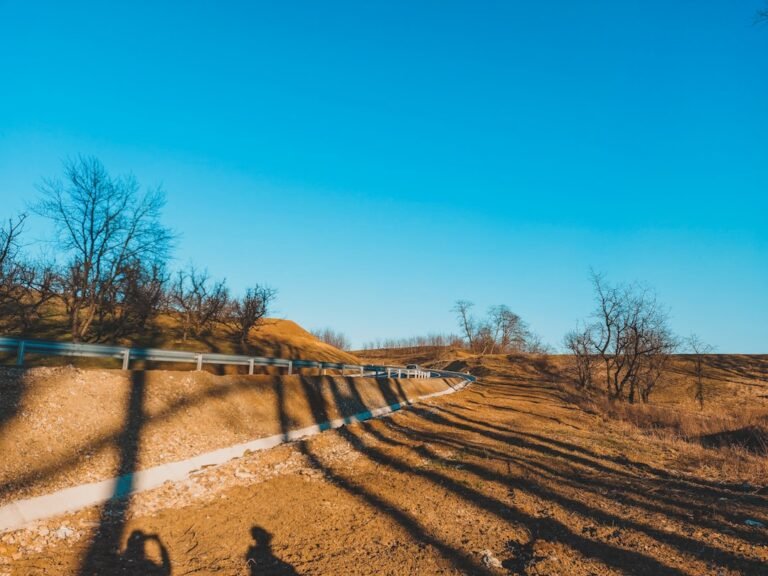 Mastering Midday Photography: When Harsh Light Becomes Your Asset