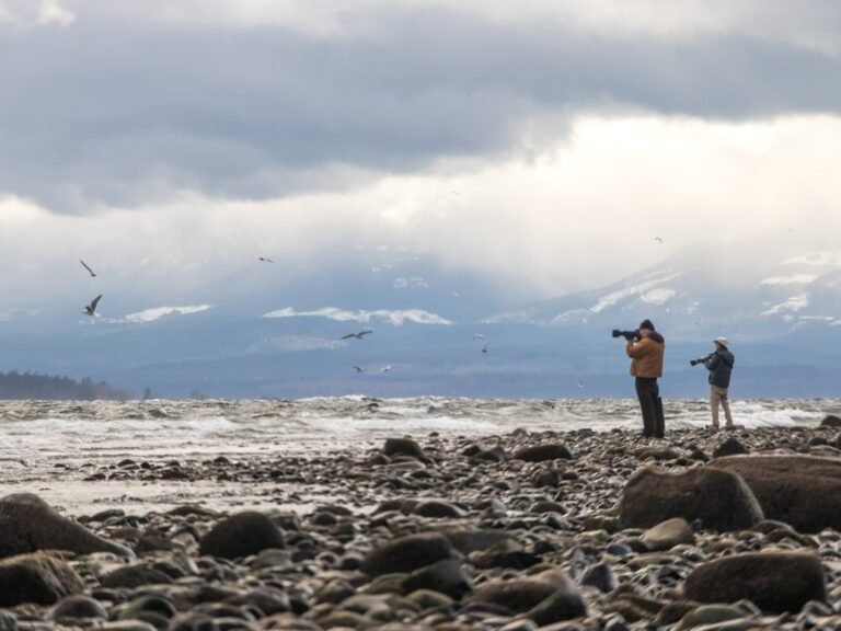 Mastering Wildlife Photography: Why Harsh Conditions Yield Outstanding Results