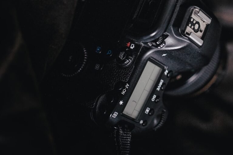 Breaking Barriers: 67MP at 30fps in One Versatile Full-Frame Body