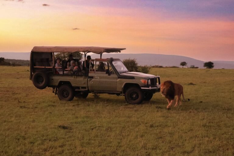 How Novachips CFexpress 4.0 Held Up During African Safari Photography