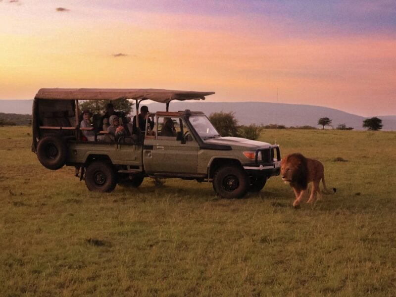 How Novachips CFexpress 4.0 Held Up During African Safari Photography