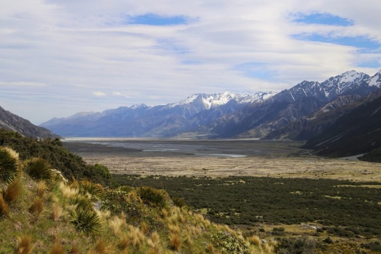 Reconsidering Midday Light: A Landscape Photographer’s Perspective