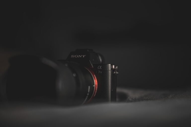 Sony FE 100-400mm f/5.6-8: Budget Telephoto Finally Arrives